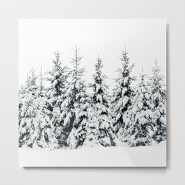 Snow Porn Metal Print