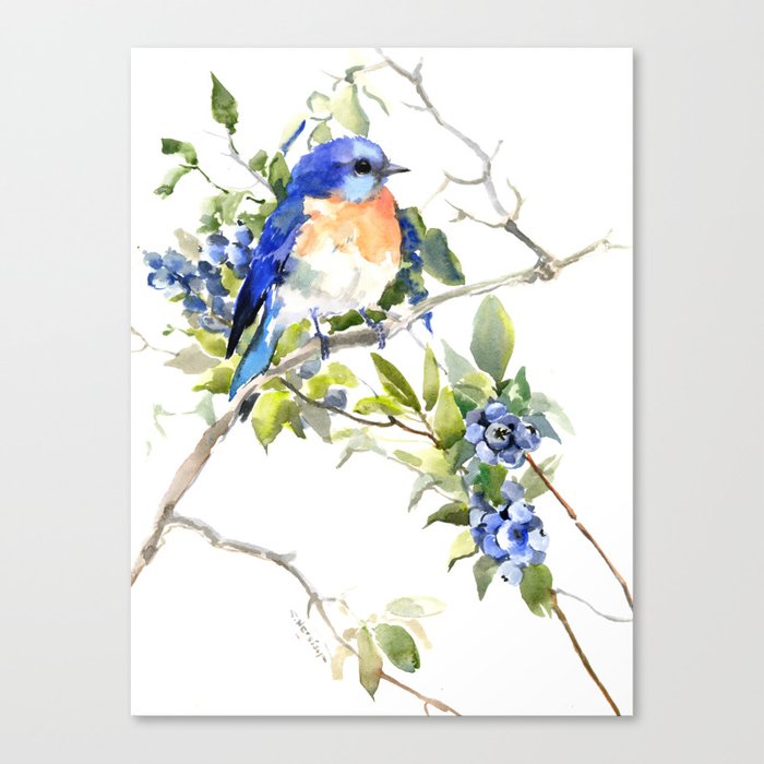 Bluebird and Blueberry Canvas Print