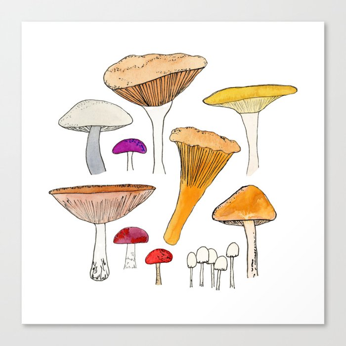 Mushrooms Watercolor and Ink Canvas Print
