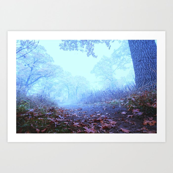 Dark Foggy Woods Photograph Art Print