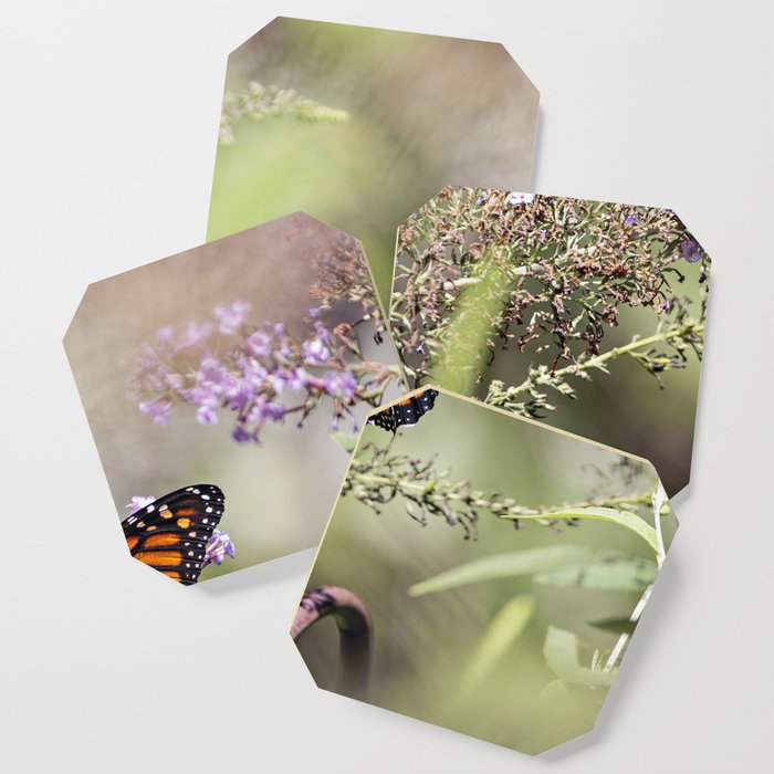 Monarch Butterfly Coaster