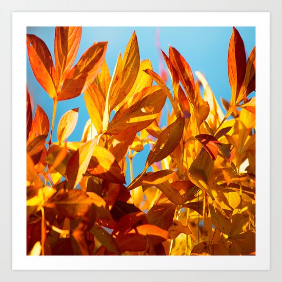 Autumn colors leaves against the blue sky Art Print