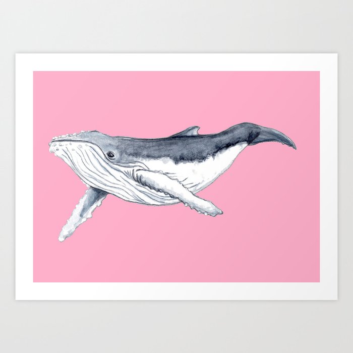 cute baby whale drawing