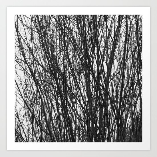 Trees Art Print