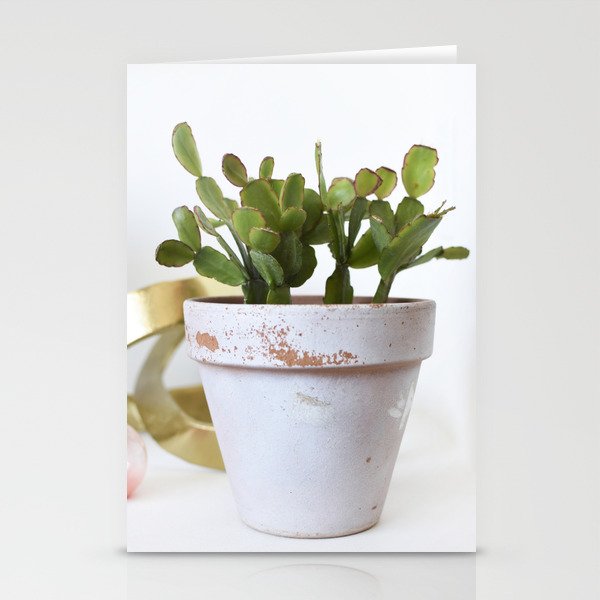 Christmas Cactus Stationery Cards