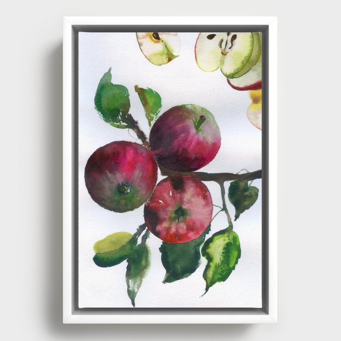 apples N.o 2 Framed Canvas