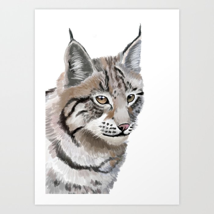 Lynx Cat Art Print