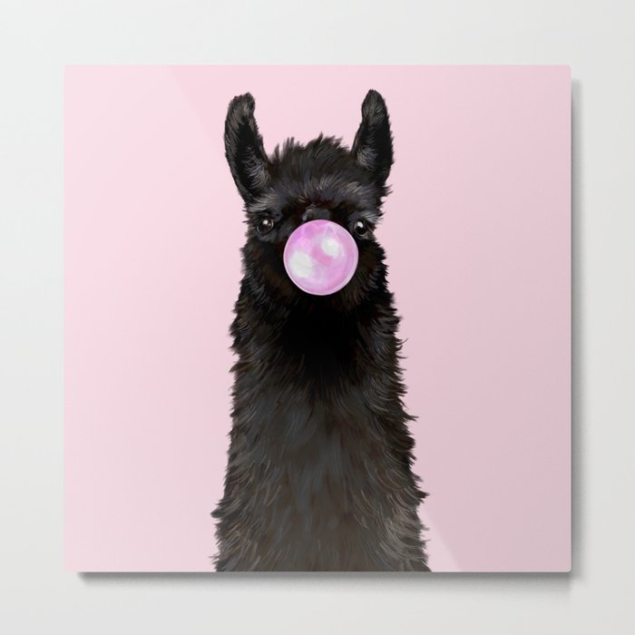 Bubble Gum Popped on Black Llama (1 in series of 3)  Metal Print