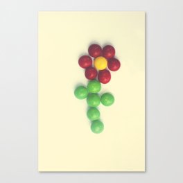 The Sweetest Blossom Canvas Print