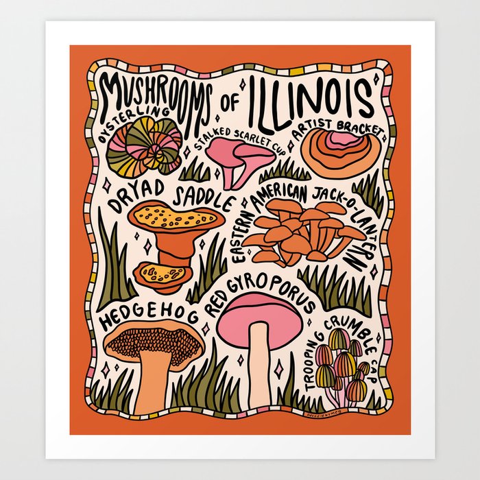 Mushrooms of Illinois Art Print