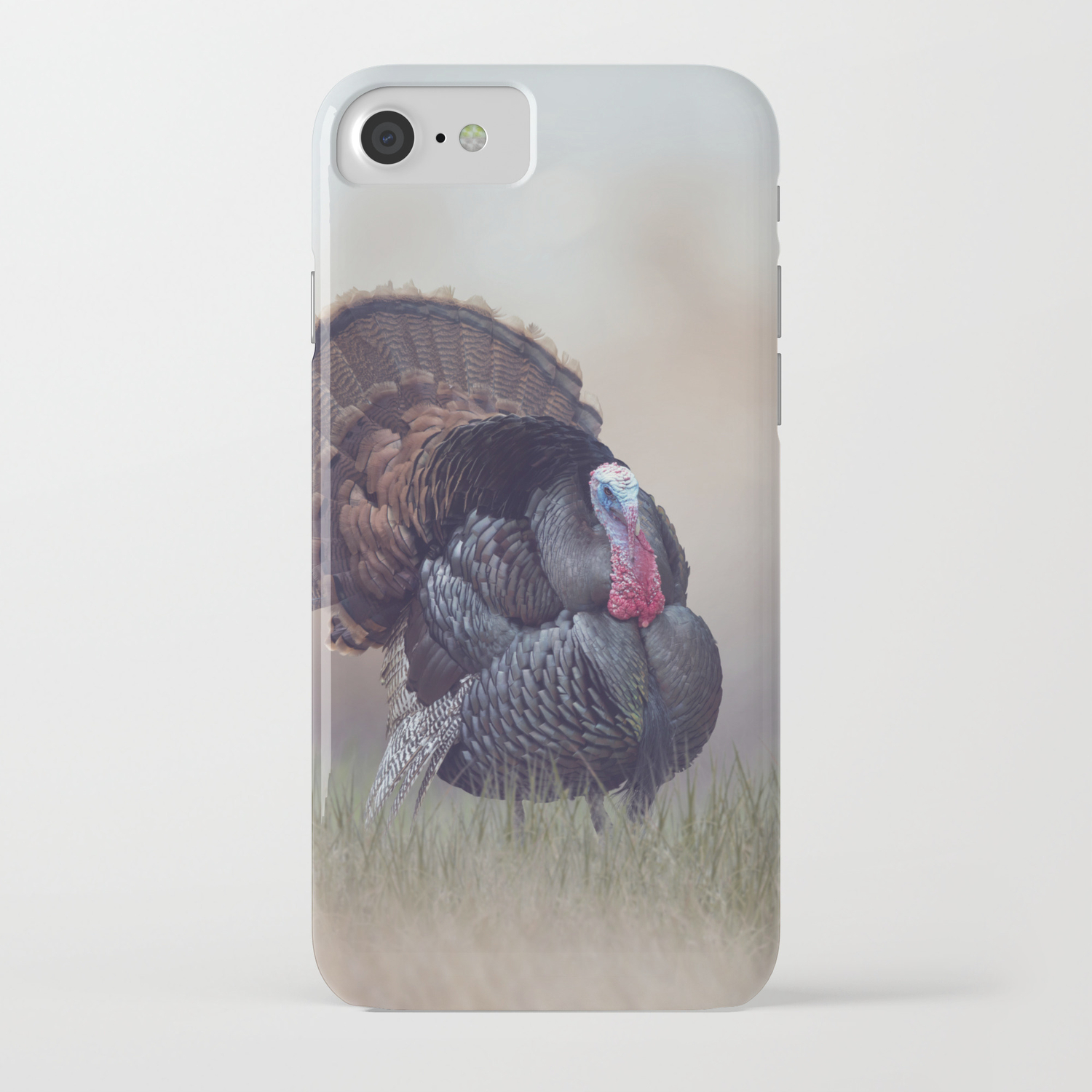 society6