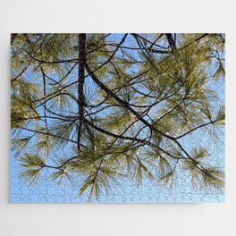 Looking through a Pine Tree Jigsaw Puzzle