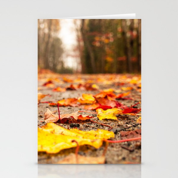 Fall on the Road Stationery Cards