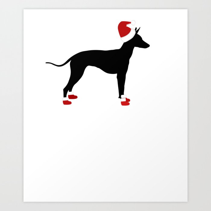 Dog christmas sales boots