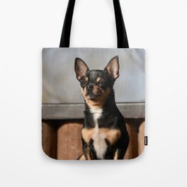 Pet Dog Chihuahua Walks On Street 1373 Tote Bag