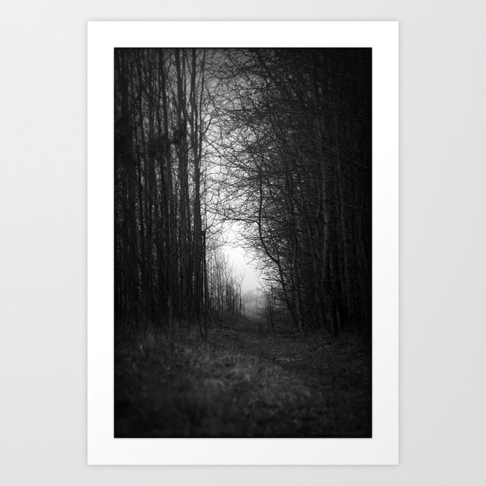 In the deep dark forest... Art Print