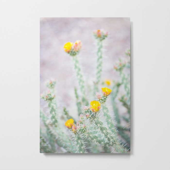 Desert Flower 2 Metal Print