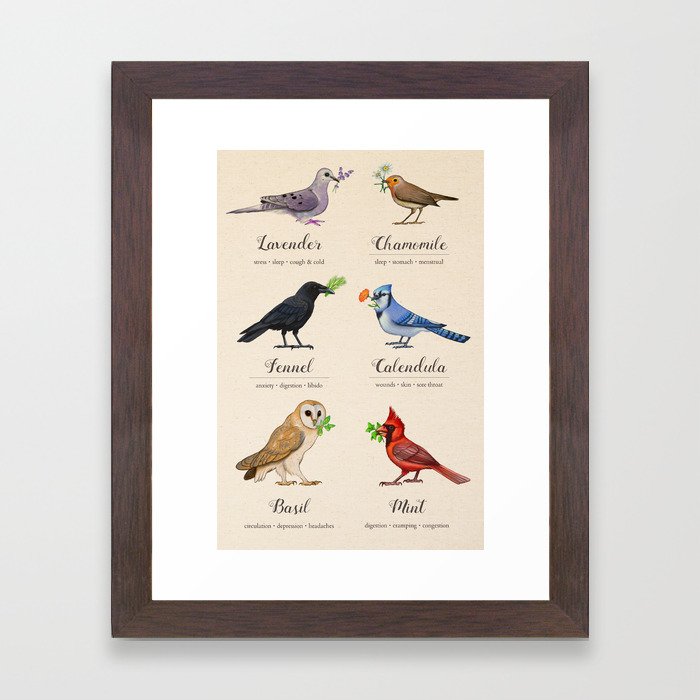 Birds, Herbs, and their Uses Framed Art Print
