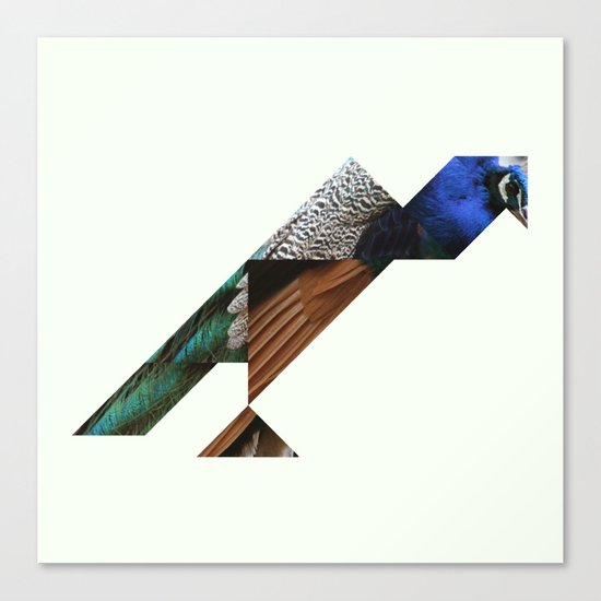 PEACOCK Canvas Print