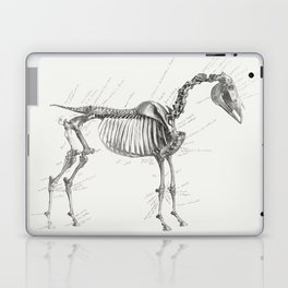 The Anatomy of the Horse Laptop Skin