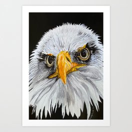 Cranky Frankie - a bad tempered eagle Art Print