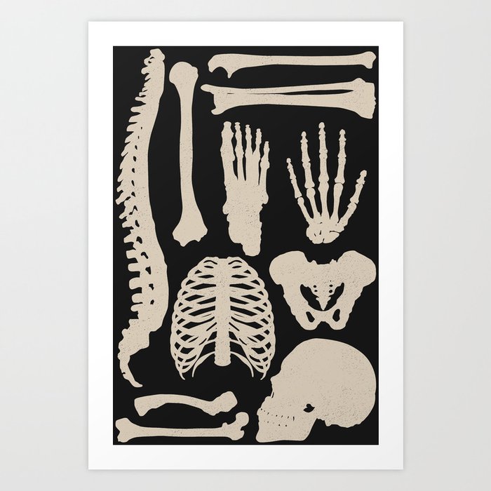 Osteology Art Print