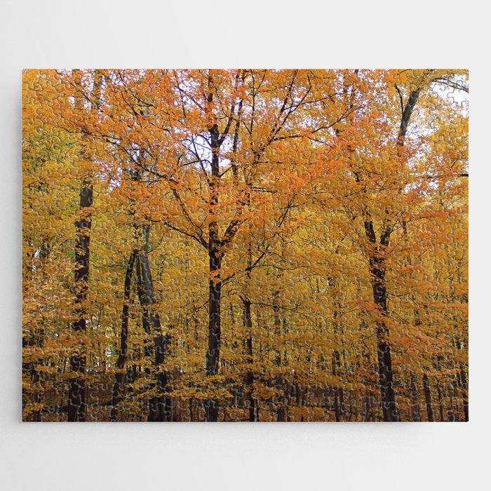 Inviting Hard Woods in the Fall Jigsaw Puzzle