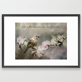 Natures Wonder Framed Art Print