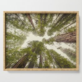 Into the Mist - Nature Photography Serving Tray