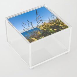 Yellow Flowers on the Shore (plants, ocean, beach, nature, peaceful, rhode island, photography) Acrylic Box