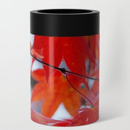 Red Maple leaves Can Cooler
