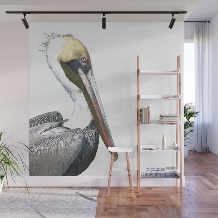 Pelican Portrait Wall Mural