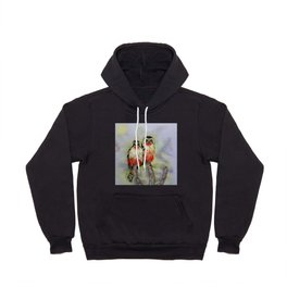 Two collared falconets Hoody