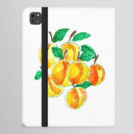 Summer apricots hand drawing iPad Folio Case