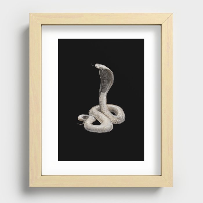 Icons of Africa - Cape Cobra Recessed Framed Print