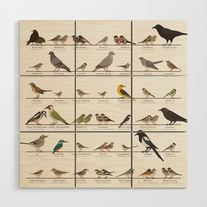 [Old Version] European Garden Birds Wood Wall Art