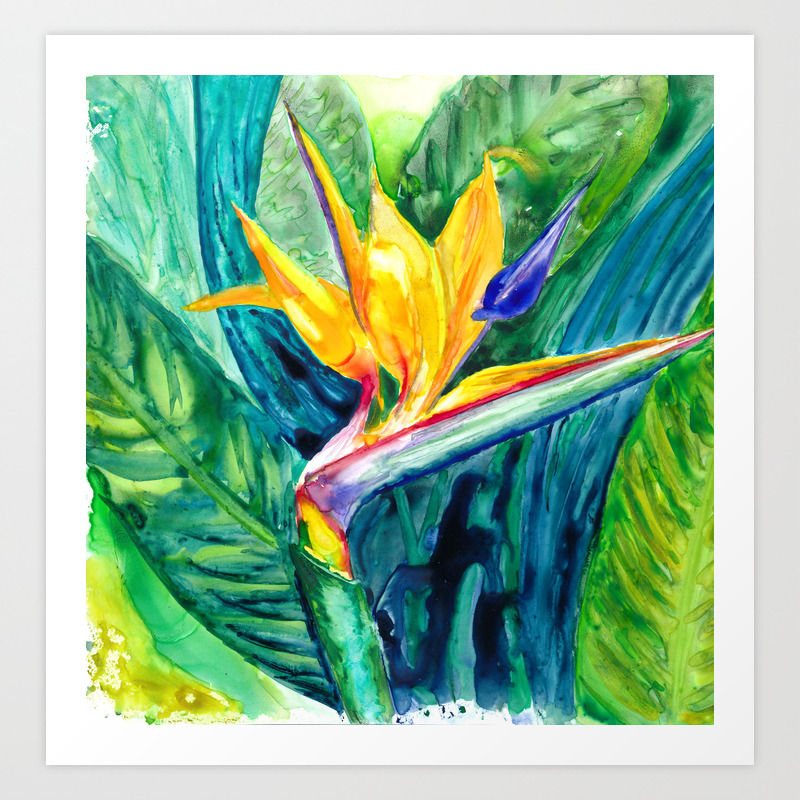 Bird Of Paradise Watercolor Art Print By Camillepenner Society6