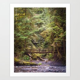 Pacific Northwest Forest Bridge Photo Art Print