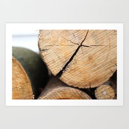 Wood Pile Art Print