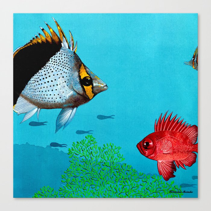 Butterfly & Bigeye fishes Canvas Print