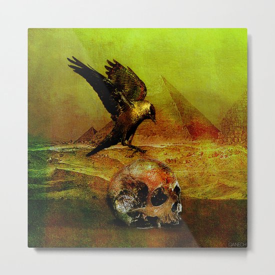 The crow of Egyptian plains Metal Print