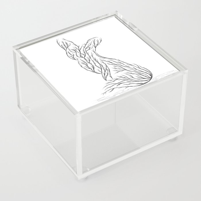 Fox Branches Acrylic Box