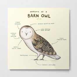 Anatomy of a Barn Owl Metal Print