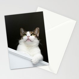 Stanley - A Cat You Can Believe In Stationery Cards