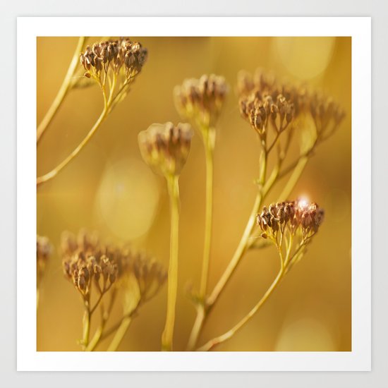 Autumn wildflowers in forest Art Print