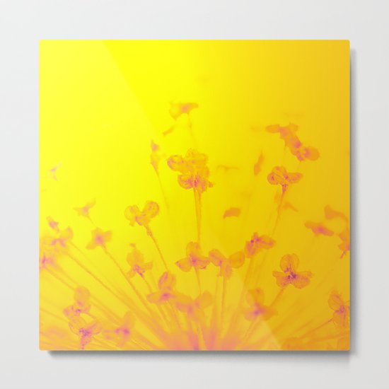Bright Sunny Morning Metal Print