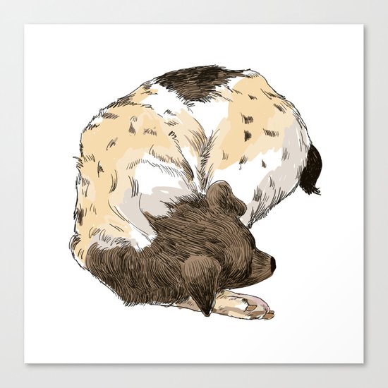 Sleeping Dog #002 Canvas Print