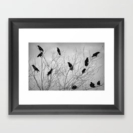 A Murder of Crows Framed Art Print