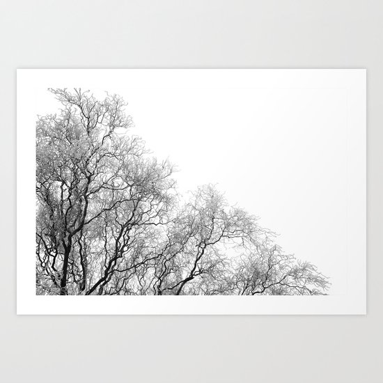 A tree and his crown in winter I Art Print