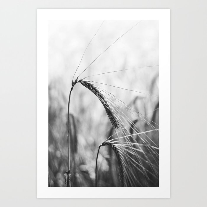 Black and White Countryside Art Print
